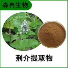 森冉生物 荊介提取物 線(xiàn)芥提取物 植物提取原料粉