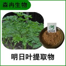 森冉生物 明日葉提取物 明日草提取物 全水溶原料粉