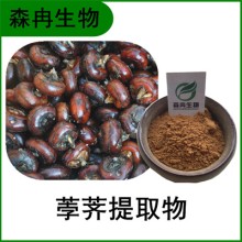 森冉生物 荸薺提取物 馬蹄提取物 植物提取原料粉