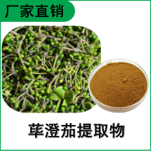 森冉生物 蓽澄茄提取物 木姜子提取物 植物提取原料粉