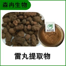 森冉生物 雷丸提取物 雷實(shí)提取物 植物提取原料粉