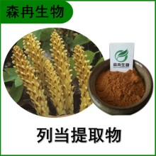 森冉生物 列當提取物 草蓯蓉提取物 植物提取原料粉