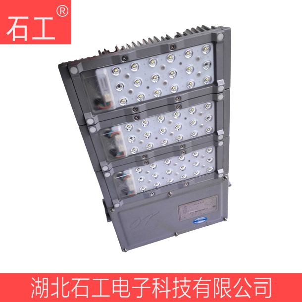 泛光燈(LED)NFC976070WAC220V