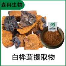 森冉生物 白樺茸提取物 樺褐孔菌提取物 白樺茸多糖