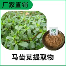 森冉生物 馬齒莧提取物 瓜子菜提取物 全水溶原料粉