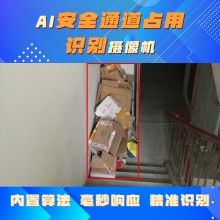 博瓦科技 安全通道占道監測識別系統 智慧社區識別預警系統 操作簡(jiǎn)單