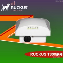 Ruckus無(wú)線(xiàn)優(yōu)科t300室外AP Ruckus T300戶(hù)外全向AP優(yōu)科