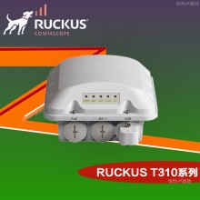 Ruckus T310S室外定向AP優(yōu)科901-T310-WW51戶(hù)外工業(yè)級A