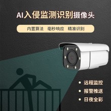 翻越圍墻監測預警攝像機