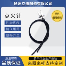 揚州立盛電子陶瓷系列生產(chǎn)廠(chǎng)家