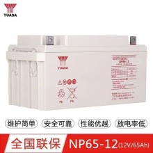 婁底湯淺蓄電池NP65-12湯淺12V65AH免