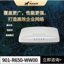 RUCKUS優(yōu)科r650教室和零售場(chǎng)所專(zhuān)用wifi6路由器Ruckus 