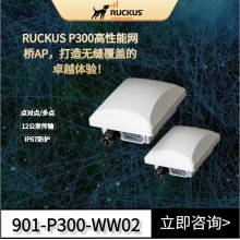 優(yōu)科Ruckus P300 點(diǎn)對點(diǎn)/點(diǎn)對多點(diǎn)網(wǎng)橋優(yōu)科P300無(wú)線(xiàn)網(wǎng)