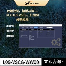 RUCKUS VSCG虛擬控制器，智能高效，